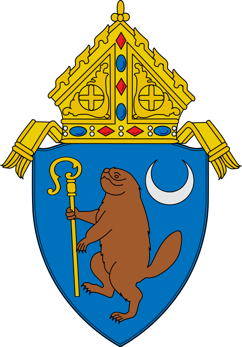 Diocese of Albany ZIP Codes